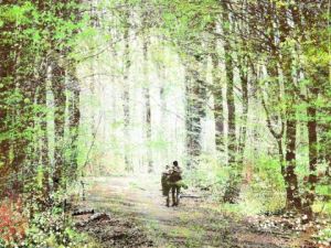 Voir le détail de cette oeuvre: Bois brûlé à Jambes (Namur)