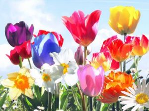 Voir le détail de cette oeuvre: Fleurs de vie