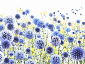 Voir le détail de cette oeuvre: Rêve bleu