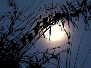 Voir le détail de cette oeuvre: Chuchotements